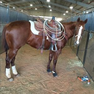 Meet your Posher, Lawrence